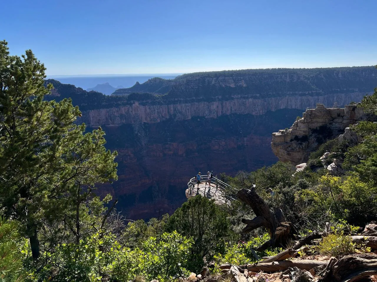 On-site walking trail through desert landscape