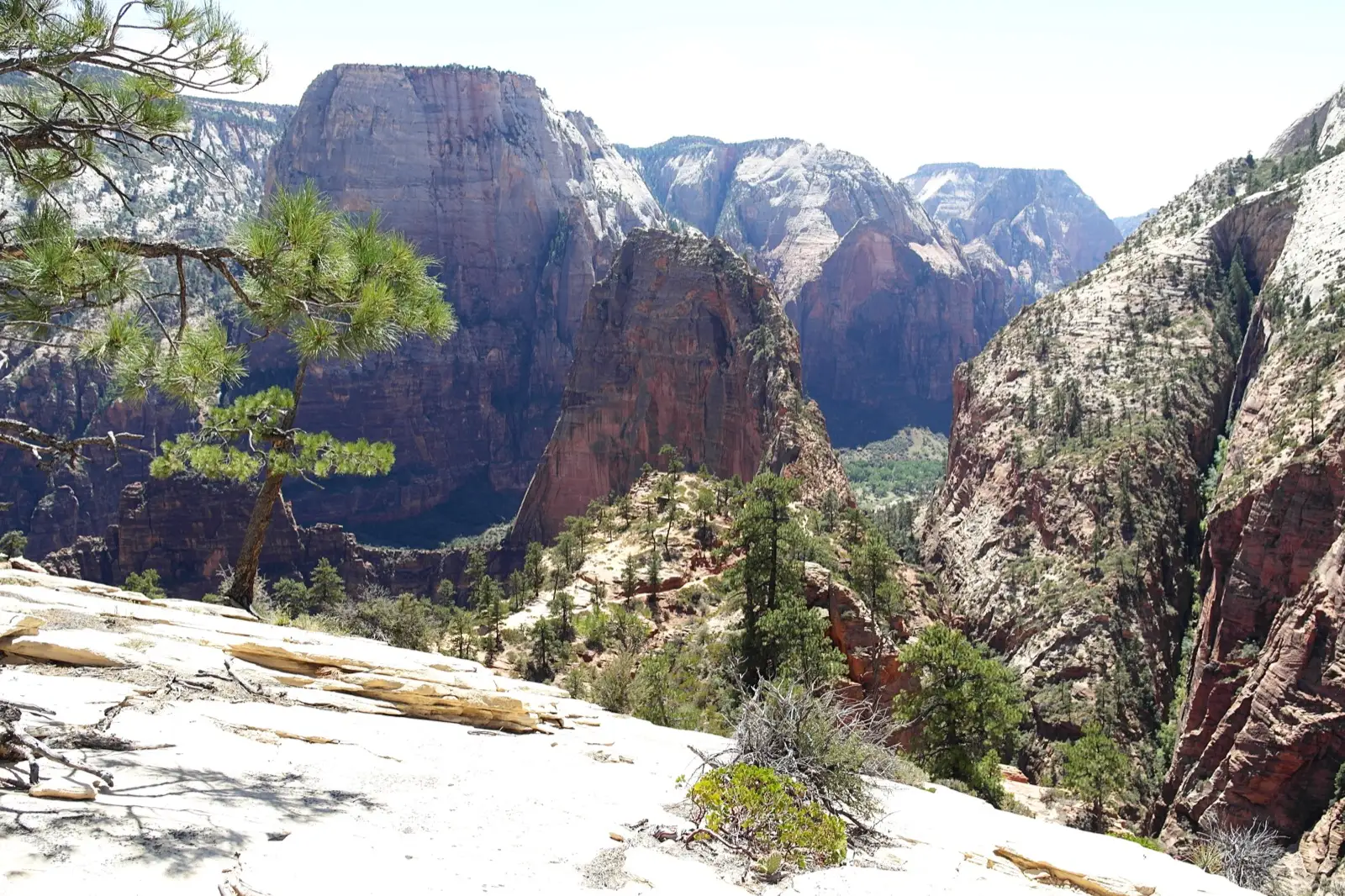Angels Landing ridge from the West Rim Trail with Zion Canyon below