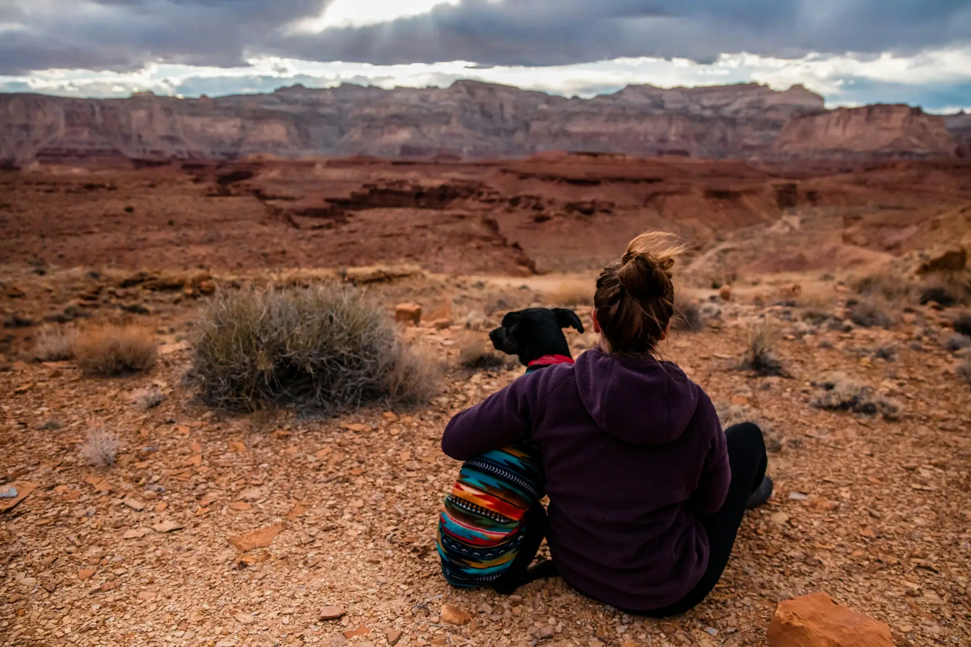 A person sits with their arm around a black dog overlooking a southern Utah red rock desert landscape