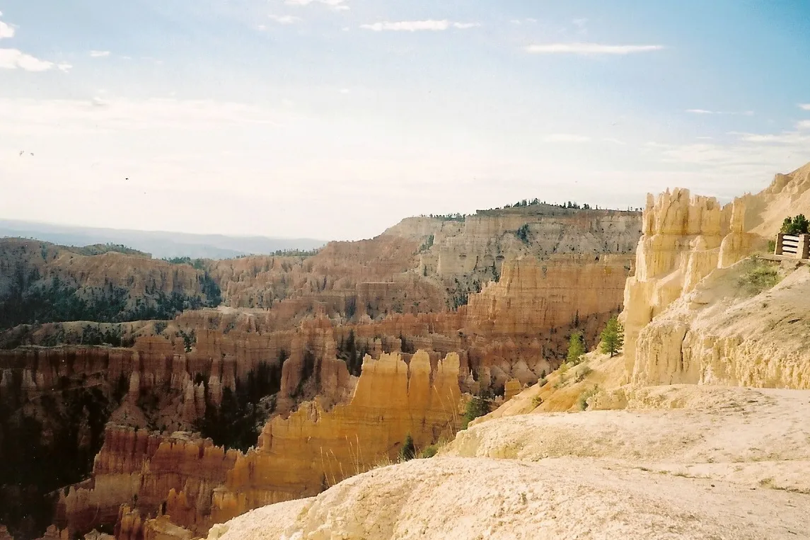 Pink and cream hoodoos descending into Bryce Canyon's Fairyland amphitheater, viewed from the rim