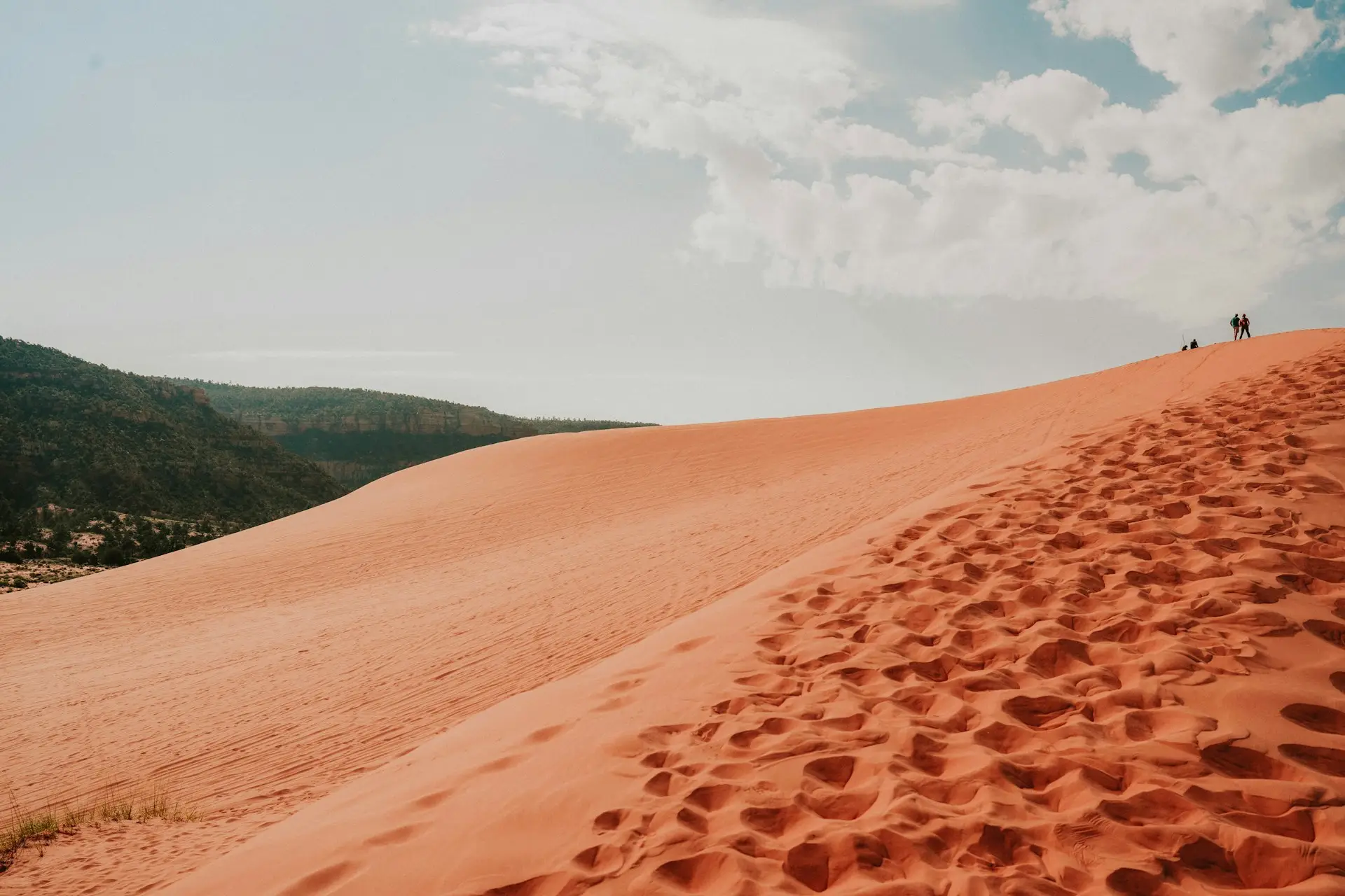 The coral-colored sand of Coral Pink Sand Dunes State Park sweeping up to a ridge with visitors silhouetted on top