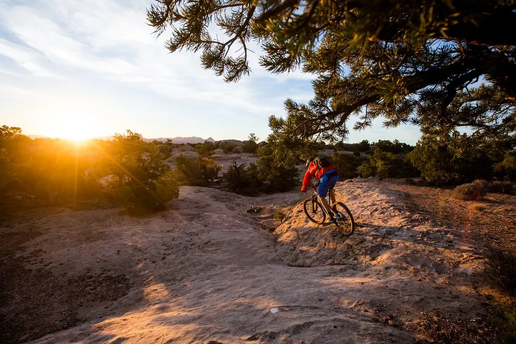 Mountain biker rolling slickrock singletrack near Hurricane Cliffs at golden-hour with a juniper in foreground