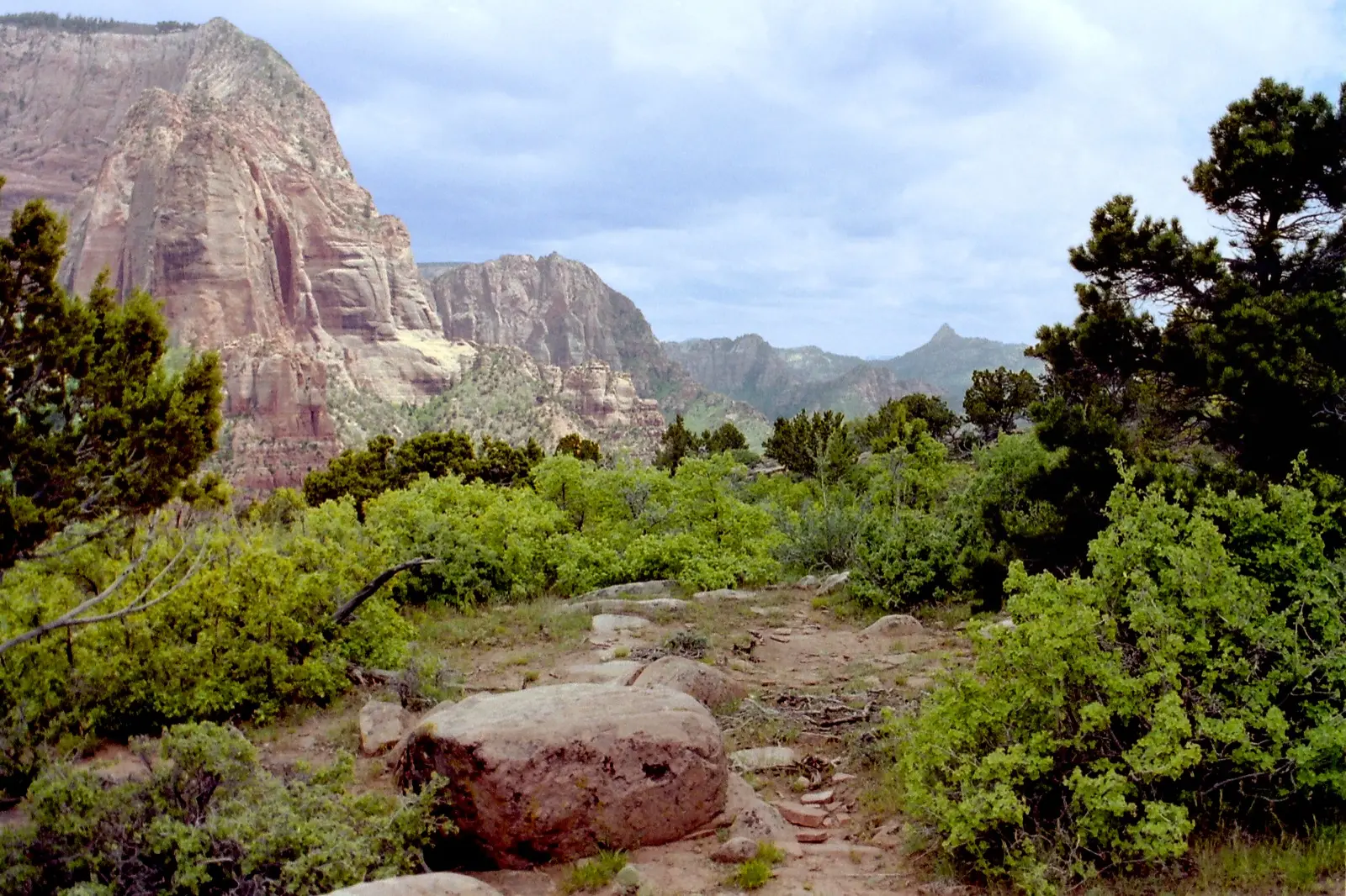 The red sandstone finger canyons of Kolob in Zion's northwest district seen above a foreground of pinyon-juniper