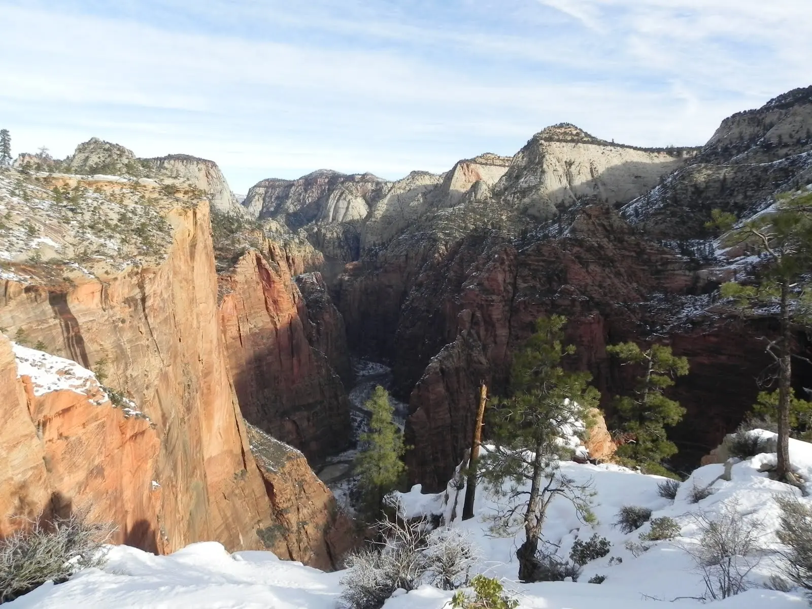 Looking down into Zion Canyon from a high snow-dusted rim viewpoint, red sandstone cliffs falling away to the canyon floor below