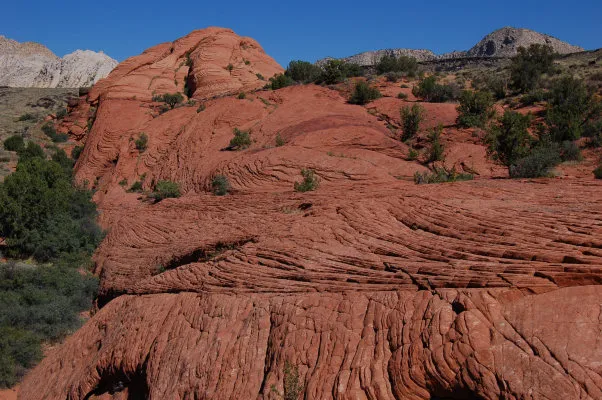 The lithified wave-form red sandstone of Snow Canyon's Petrified Dunes