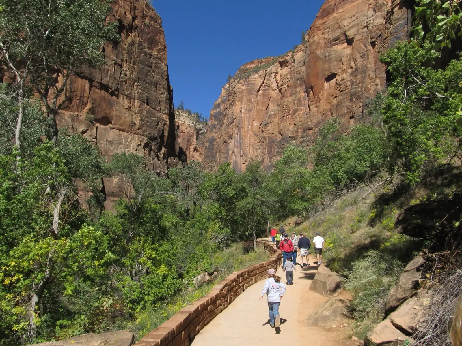 Hikers on the paved Riverside Walk path with towering red sandstone cliffs of Zion Canyon rising on both sides