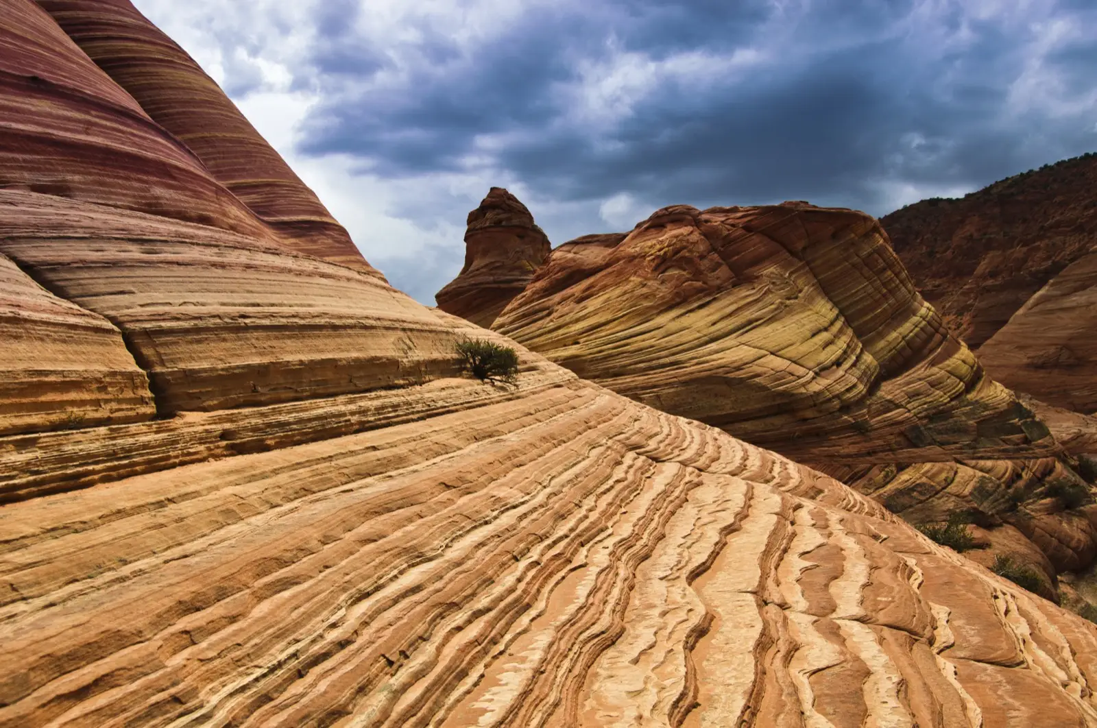 The Wave's striated swirling sandstone curves at Coyote Buttes North under a stormy sky