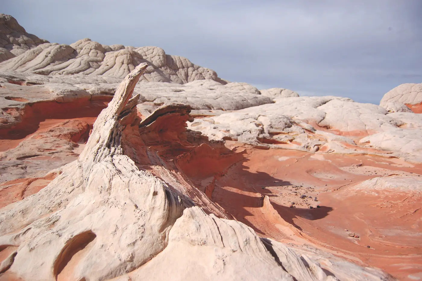White Pocket's signature white and red-banded sandstone fins in Vermilion Cliffs National Monument