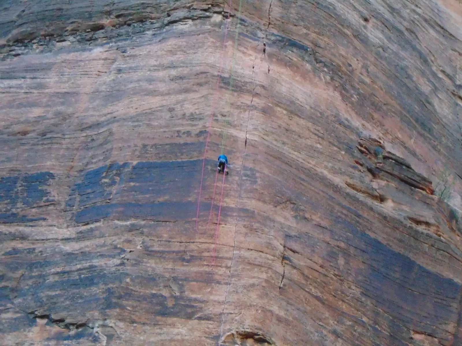 A rock climber dwarfed by the scale of a vast striated Zion sandstone wall, with ropes visible above
