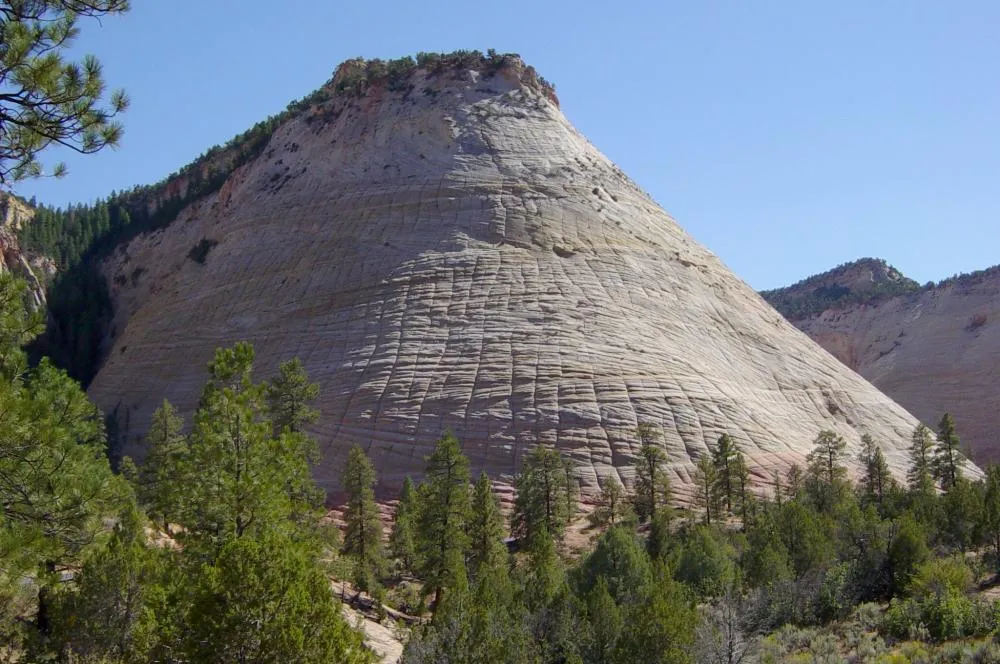 Checkerboard Mesa's white Navajo Sandstone dome with its iconic crosshatched weathering pattern, seen from the Zion-Mount Carmel Highway
